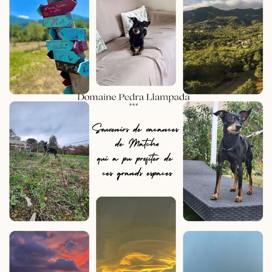 Domaine Pedra Llampada Gite Mer Villelongue-dels-Monts المظهر الخارجي الصورة